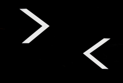 11104973 копия.jpg