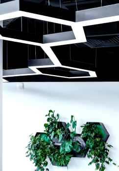 11105092 копия.jpg