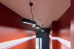 2025-03-20 11.31.16_1-topaz-denoise-sharpen.jpeg