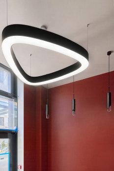 2025-03-20 11.45.29-topaz-denoise-sharpen.jpeg