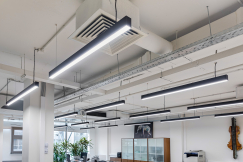 0J8A0077 сжато.jpg