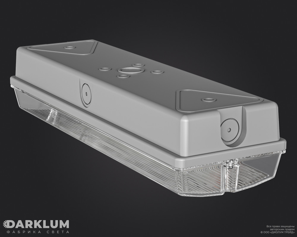 Светодиодный аварийный светильник Brick 6Вт 5000К с БАП 3 часа IP65 фото 4