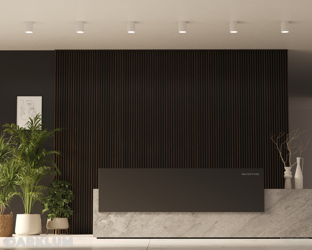 Накладной светодиодный светильник Dot 115/152мм 30Вт 4000К IP40 D40 белый фото 3